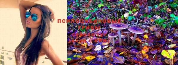 мяу мяу кристалл Алексин