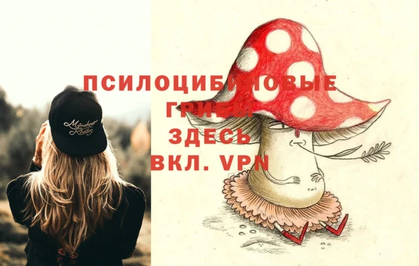 амф Алексеевка