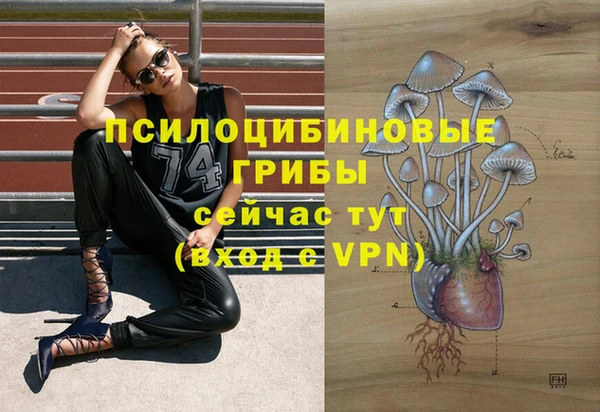 амф Алексеевка