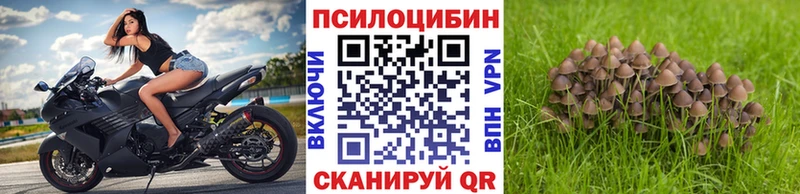 MEGA рабочий сайт  Глазов  Псилоцибиновые грибы MAGIC MUSHROOMS  магазин продажи  