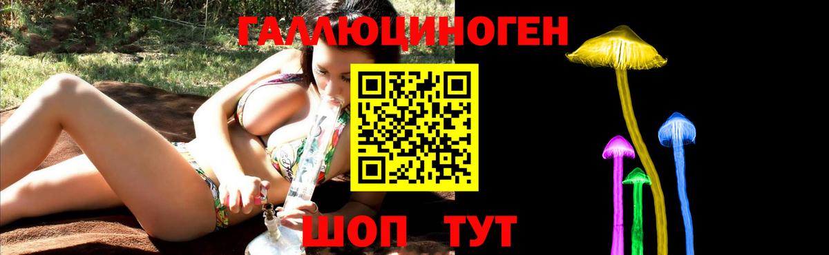 Псилоцибиновые грибы мицелий Глазов